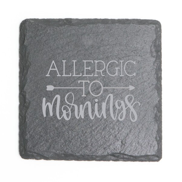 Square Slate Coasters (Funny)